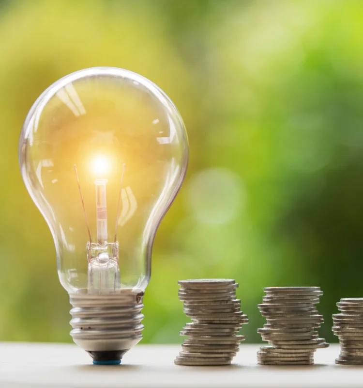 como reduzir a fatura de energia com a nowo